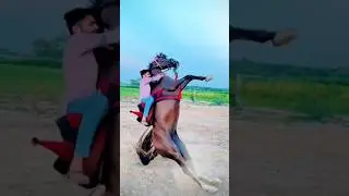 Rider fell down badly |Rider fails #shorts