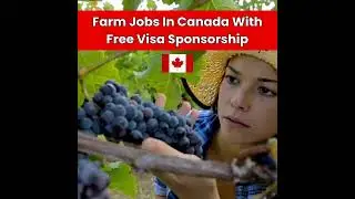 Farm Worker Jobs in Canada