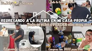 REGRESANDO A LA RUTINA EN CASA🏡TODO SE ECHO A PERDER🤢‼️DESPENSA PEQUEÑA $600💸#viralvideo #temu #yt 