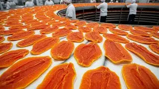 From Fresh Papaya to Addictive Dried Snacks &ndash; The Factory Process Will Surprise You