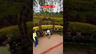 Rose Garden Munnar 🌹☘️ #akku #shortvideo #youtubeshorts #trending #kerala #rosegarden #munnar