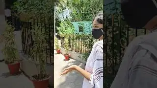 #minivlog #biharsharifsmartcity #subhashpark #mastiwithfriend #mastiwithfriend #parkvlog #comedyvlog