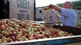 Thatchers Cider Open Day 2017