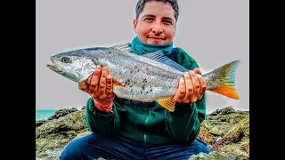 comienzo de temporada, PESCA DE CORVINAA, huentelauquen, CUARTA REGION, CHILE