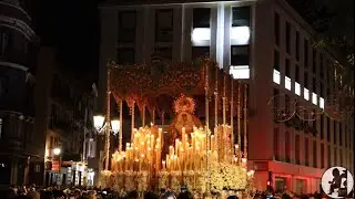 Macarena por Campana | Magna Sevilla 2024 | BM Carmen de Salteras