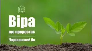 Віра, що проростає | Череповский Ян