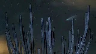 CONSEGUI FOTOGRAFAR O COMETA NEOWISE!
