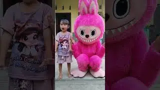 monyet lucu bikin ketawa #funny #shorts