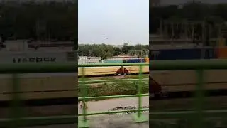 Bareli