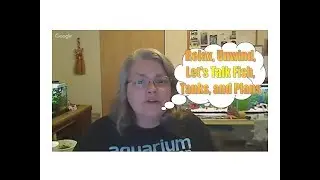 Relax, Unwind, Let's Talk Fish, Tanks, and Plans