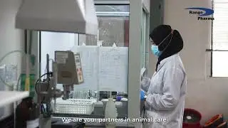 Range Pharma Company Video