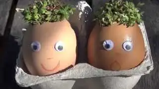 How to make watercress eggheads