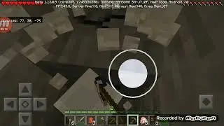 White wolf е на стената в Minecraft