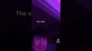 epic immortal snail memes that I found