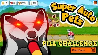 PILL CHALLENGE | PILLING A BADGER TO VICTORY | SUPER AUTO PETS