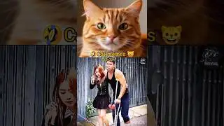 Funny 🤣 funny shorts video 🤣#shorts #funny #cat #viral
