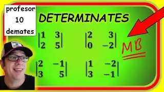 DETERMINANTE de una MATRIZ 2x2