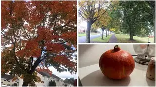 How I Enjoy Autumn The Natural Way || Sep, 2022