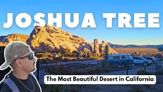 My Solo Trip Adventure Through Joshua Tree National Park