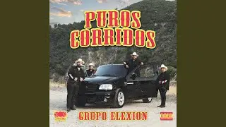 Cerros Y Pinos