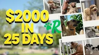 I Made $2,000 in 25 Days With Rover (Dog Sitting Side Hustle)