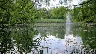 Lacul Tei - Bucharest
