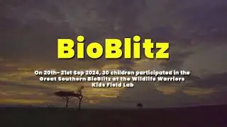 BioBlitz Final
