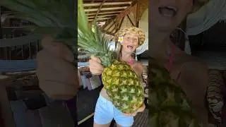 How To Make Pineapple Popsicles!
