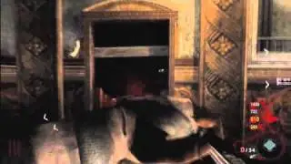 Call of Duty: Black Ops - Nazi Zombies 4 Player Co Op
