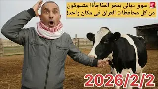 🚨 سوق ديالى يفجّر المفاجأة! متسوقون من كل محافظات العراق في مكان واحد!