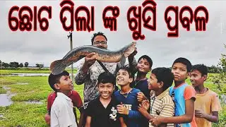 ସବୁ ଛୋଟ ପିଲାଙ୍କର ଦିଲ ଖୁସ || snakehead Fishing || Maral fishing  ||  New fishing sport  || 