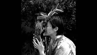 088 A Year of Roots, Light, and Becoming