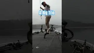 Alabama Rig Triple #fishing #arig #largemouth #fall #bassfishing