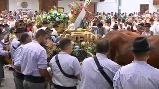 Artenara en la Romería del Pino 2025