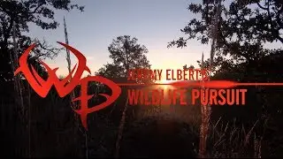 Wildlife Pursuit - Open