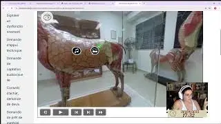 D&eacute;couverte du mus&eacute;e de l&rsquo;&eacute;cole v&eacute;t&eacute;rinaire de Lyon | Patrimoine animalier et sciences 🐾