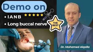 Demo on IANB & long buccal nerve || Dr. Mohamed Alqlla