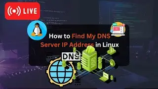 Editing How to Check DNS Server IP Address in Linux