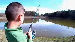 A Nice Trouting + Alternative Slip Sinker Rig + Carp2Catz + First Fire of the Year !