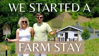 We Started a Farm Stay!!! 🦙 | NC Farmstay | Durrant Farms
