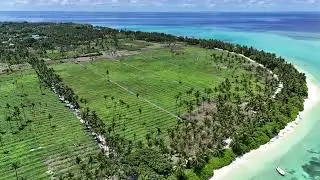 A BIRD&acute;S EYE VIEW OF THODDOO ISLAND