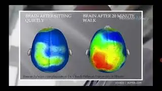 study tips to students during exam @ spark IQ for Ethiopian student