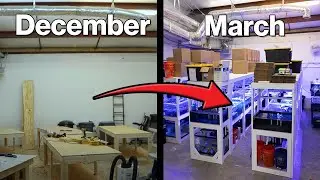 We Built Our DREAM Coral Farm!