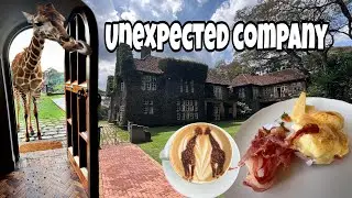 Жирафы зашли к нам на завтрак | Самый безумный отель в мире