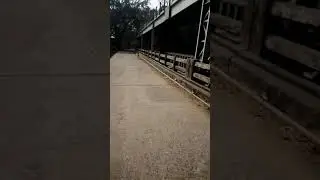 Pagla brige in kaliachak malda
