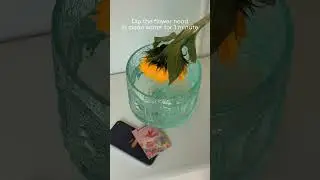 Want your sunflower to smile longer?🌻 Try this! Save the video & join us for more blooming secrets💛