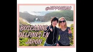 BUSCAMOS DELFINES EN UNA ISLA DE TOKYO, JAPÓN. TRAVEL CHALLENGE.