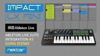 3.Using Scenes in Ableton Live Suite - LX Mini DAW integration