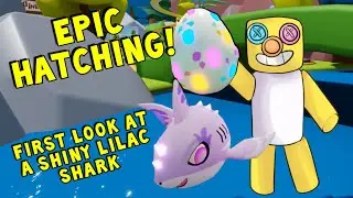 SHINY LILAC SHARK + EPIC EGG HATCHING (RoPets)