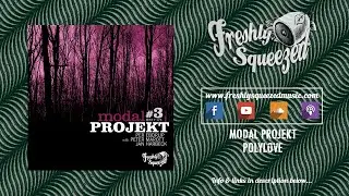 modal PROJEKT - Polylove (Edit) - (Audio) #electronic